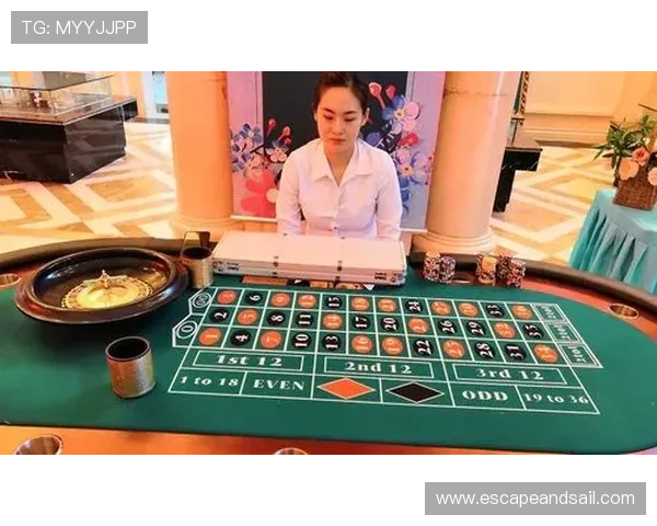 最新真人百家乐游戏下载指南,快速上手零门槛享受高品质游戏体验 最新真人百家乐游戏下载指南,快速上手零门槛享受高品质游戏体验
