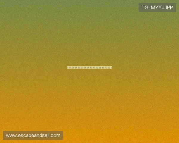 亚星娱乐手机版下载注册流程全攻略，轻松完成账号创建与安全设置