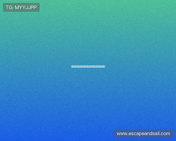 亚星手机官方地址查询最新官方渠道及操作指南详解